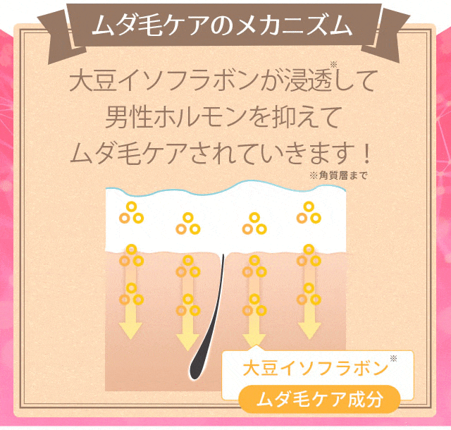 ムダ毛ケアのメカニズム