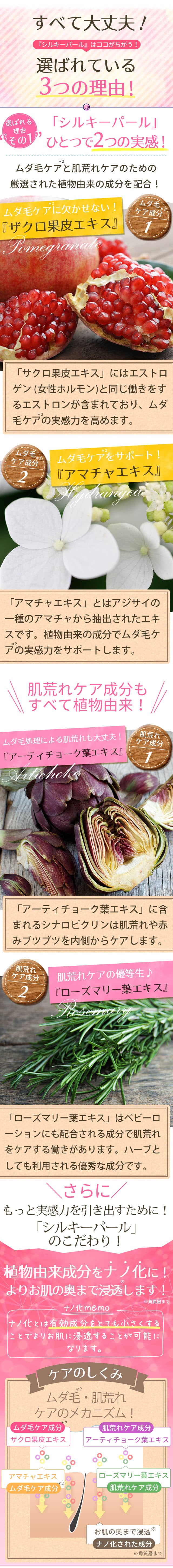選ばれる3つの理由!